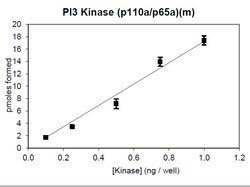 Eurofins DiscoverX PI3 Kinase (p110 /p65 ) Mouse Protein 10 &mu;g | Buy Online | Eurofins DiscoverX | Fisher Scientific
